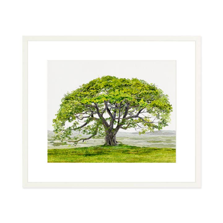English Oak - Art Print for wholesale by Felix Doolittle