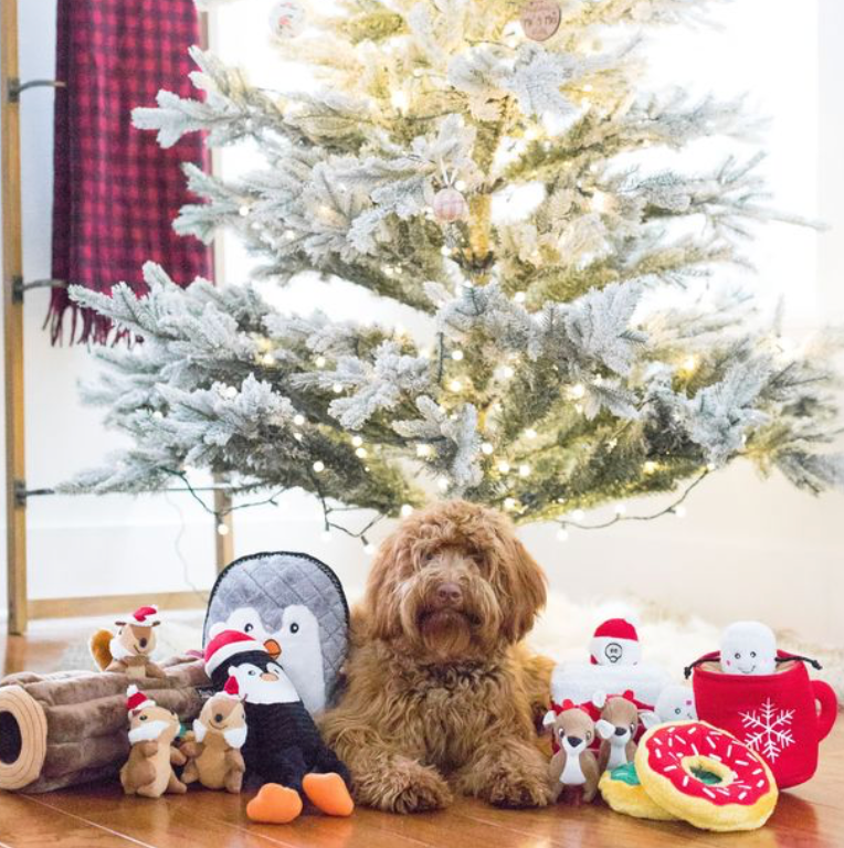 ZippyPaws - Wholesale Pet Plush Toy - Dog - Holiday Zippy Burrow - Hot Cocoa - Christmas Dog Toy8