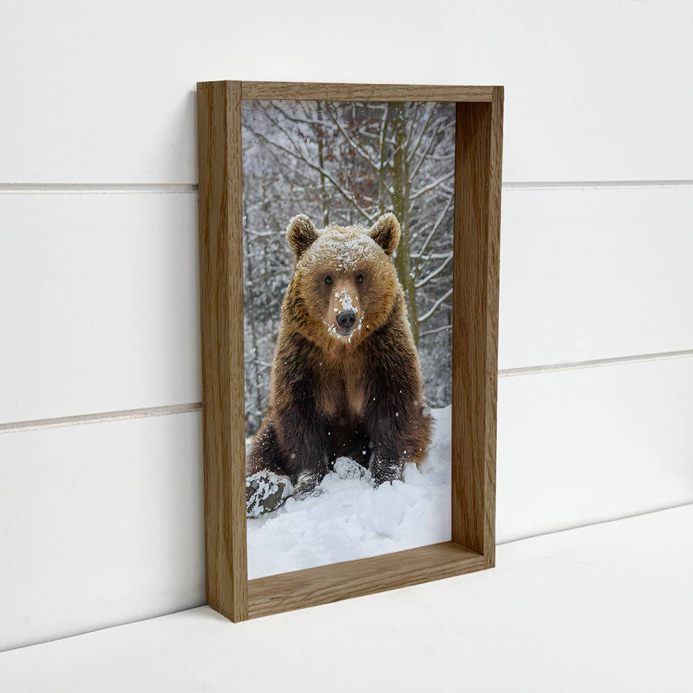 Hangout Home - Wholesale Photograph - Bear in Snow - Framed Grizzly Photograph - Cabin Wall Decor0