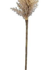 Dried Astilbe Spray, 34", Beige for wholesale by Select Artificials, Inc.