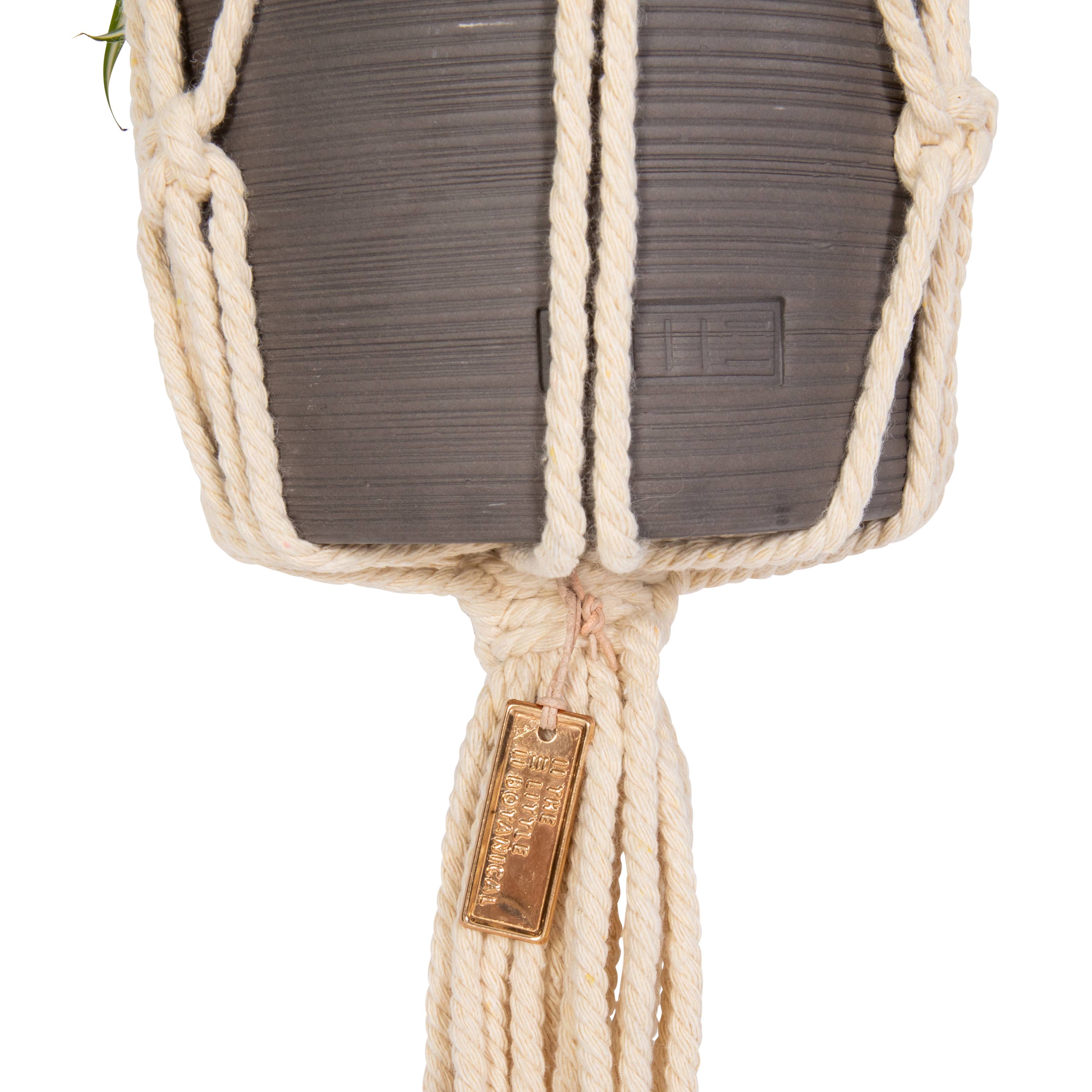 The Little Botanical - Wholesale Plant Pot - Natural Macrame Plant Hanger8