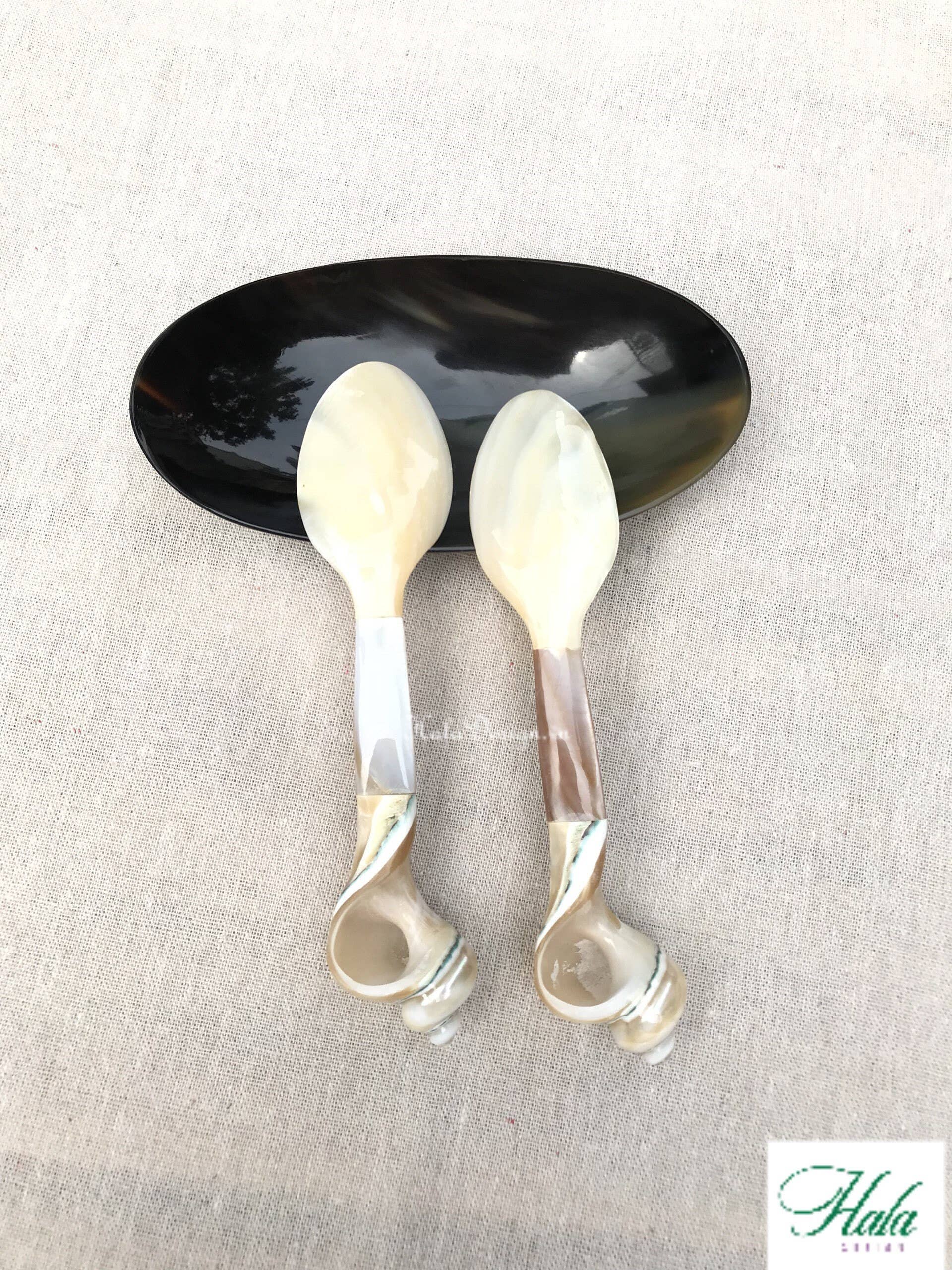 Hala Design - Wholesale Kitchen Spoon - Custom Engraved Oyster and Snail Spoon Length = 16 cm4