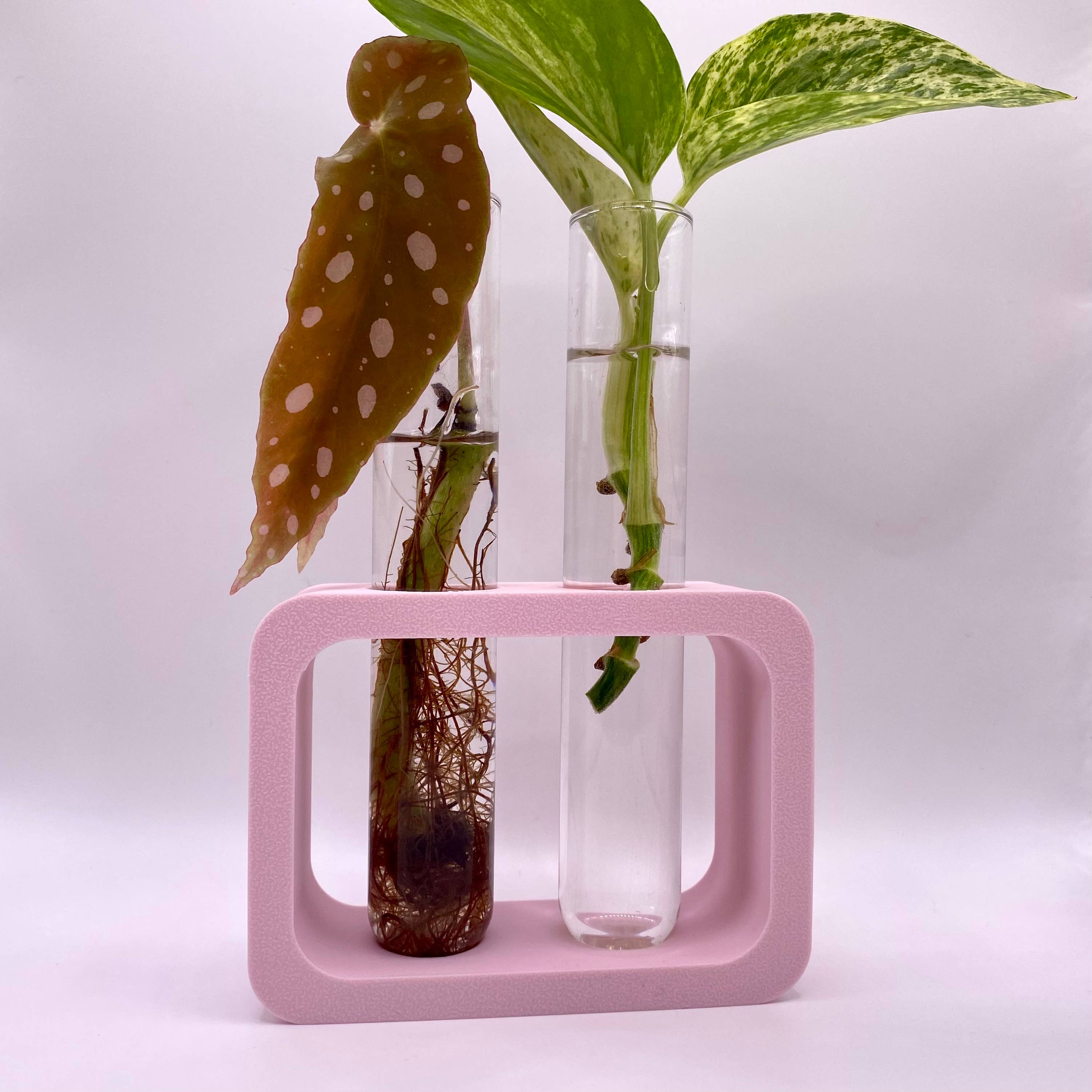 Plant Voyage - Vendita all'ingrosso Vasi per piante - Stazione di Propagazione Doppia Stampata in 3D, Accessorio per Piante2