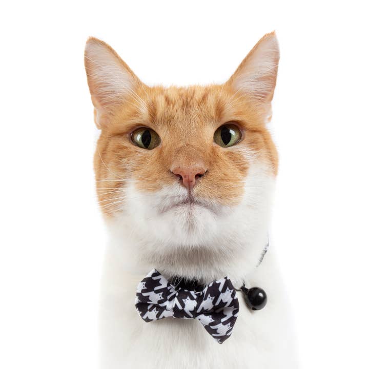 Little Kitty Co. - Wholesale Pet collar – Cat - CAT COLLAR & BOW TIE: Catstooth4