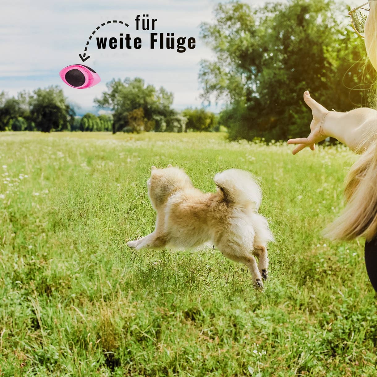 ne&no - Wholesale Pet Fetch Ball - Dog - ne&no® Dog Football – floats – neon pink – Fetch12