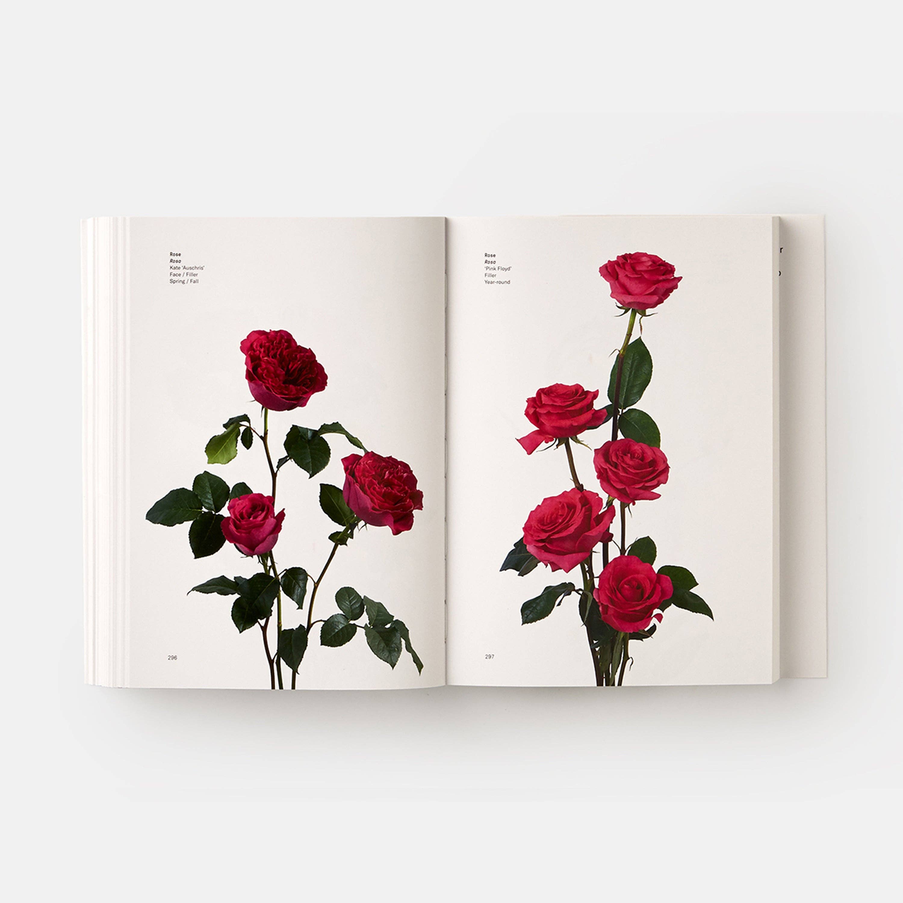 Phaidon Press – wholesale Book – Adult – Flower Colour Guide5