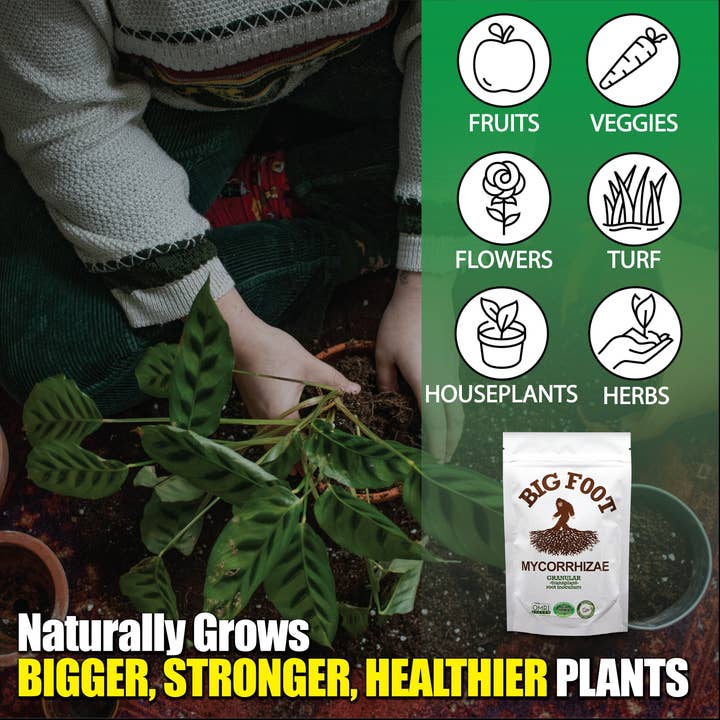 Big Foot Microbes - Wholesale Fertilizer - Big foot mycorrhizal fungi with organic fertilizer 50 grams