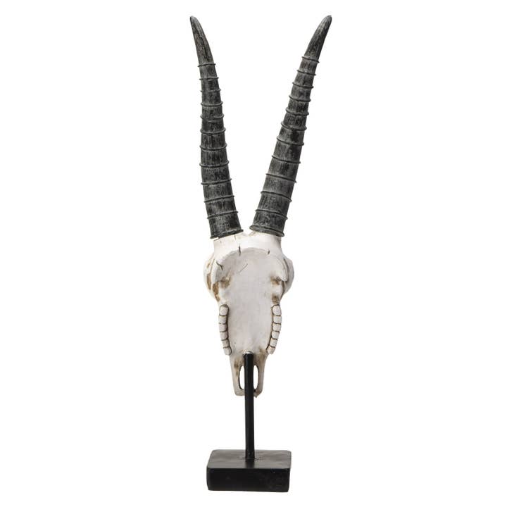 Pacific Trading – Estatueta decorativa por atacado – Crânio Decorativo de Órix Africano Entalhado3