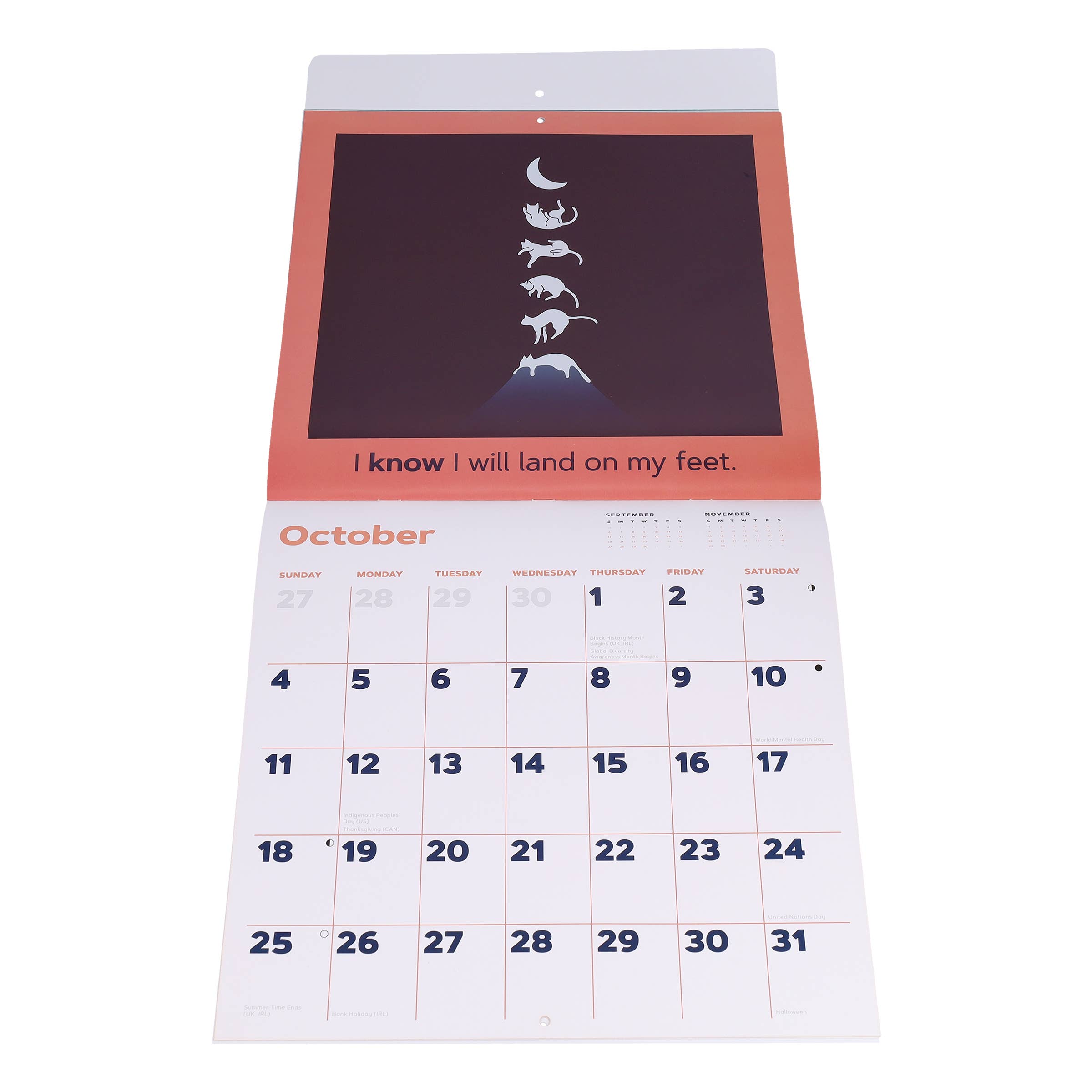 Chronicle Books - Wholesale Calendar - Catffirmations 2026 Wall Calendar8