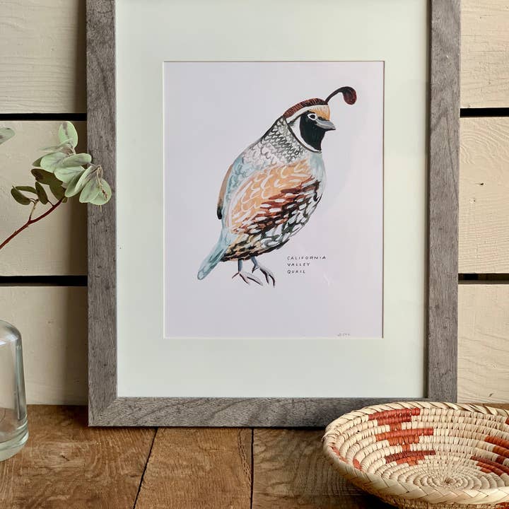 Little Salt Wagon - Wholesale Art Print - California Valley Quail Bird Art Print Home Wall Decor4
