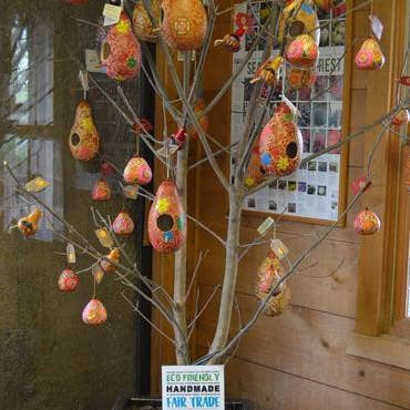 Blossom Inspirations - Wholesale Bird House - Forest Birdhouse Gourd2