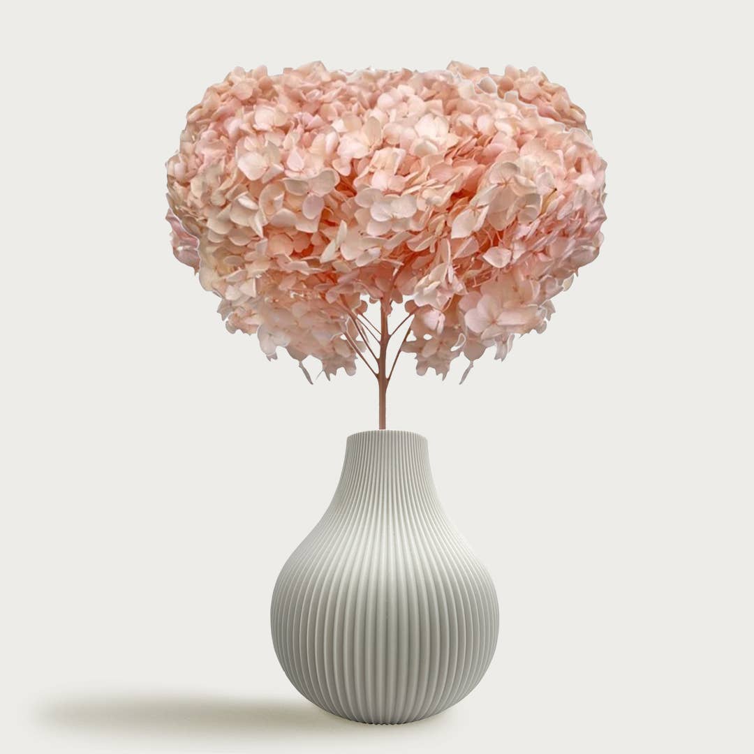 2626 Designs - Wholesale Dried/Pressed Flowers - Dried Preserved Hydrangea Flower 16" with Stem11