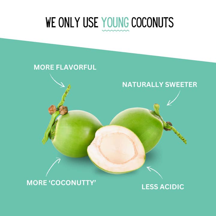 Little Palm - Wholesale Flavored/Infused Water (Non-Carbonated) - Little Palm - Young Coconut Water