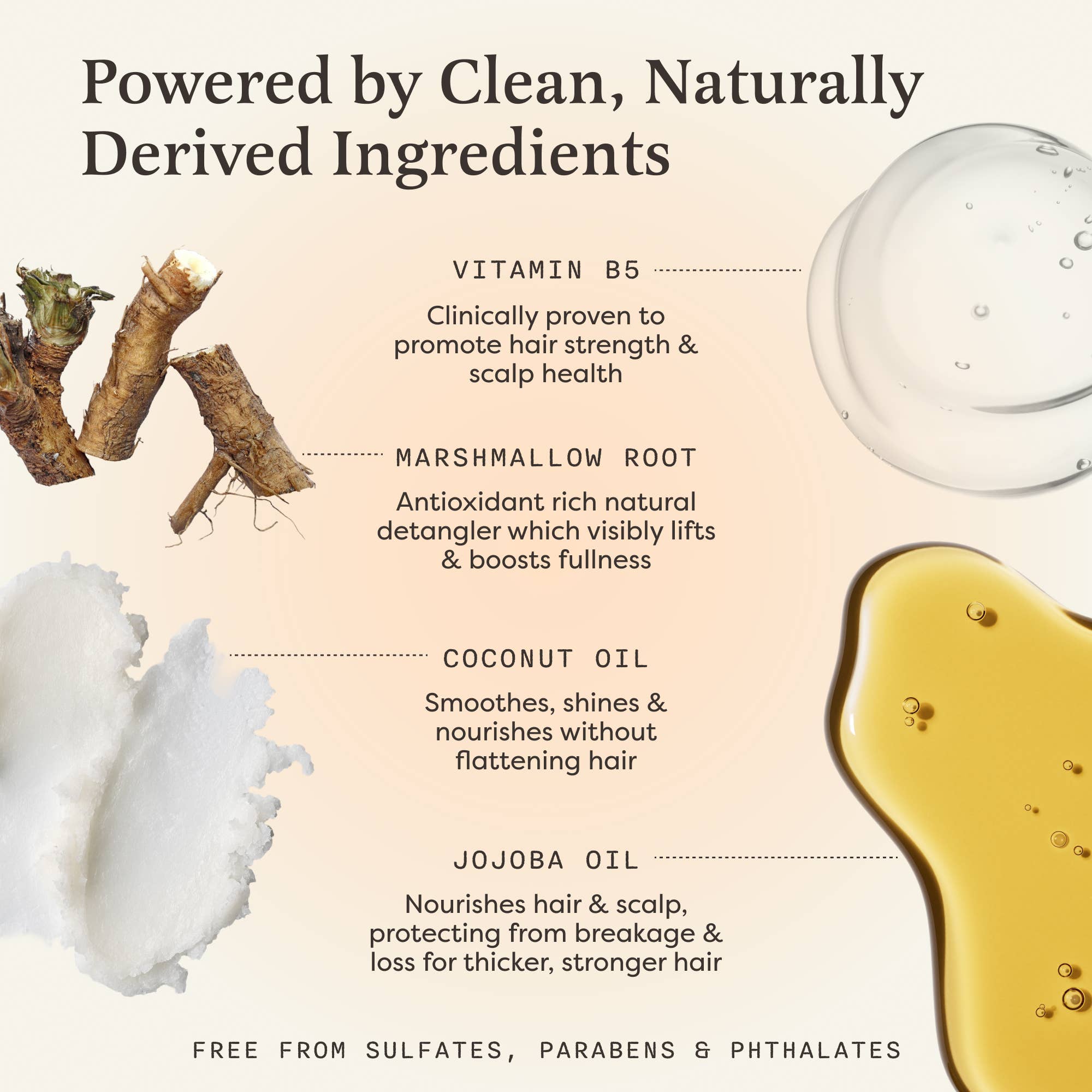 The Earthling Co. – Großhandel Conditioner – Conditioner-Bar für Feuchtigkeit10