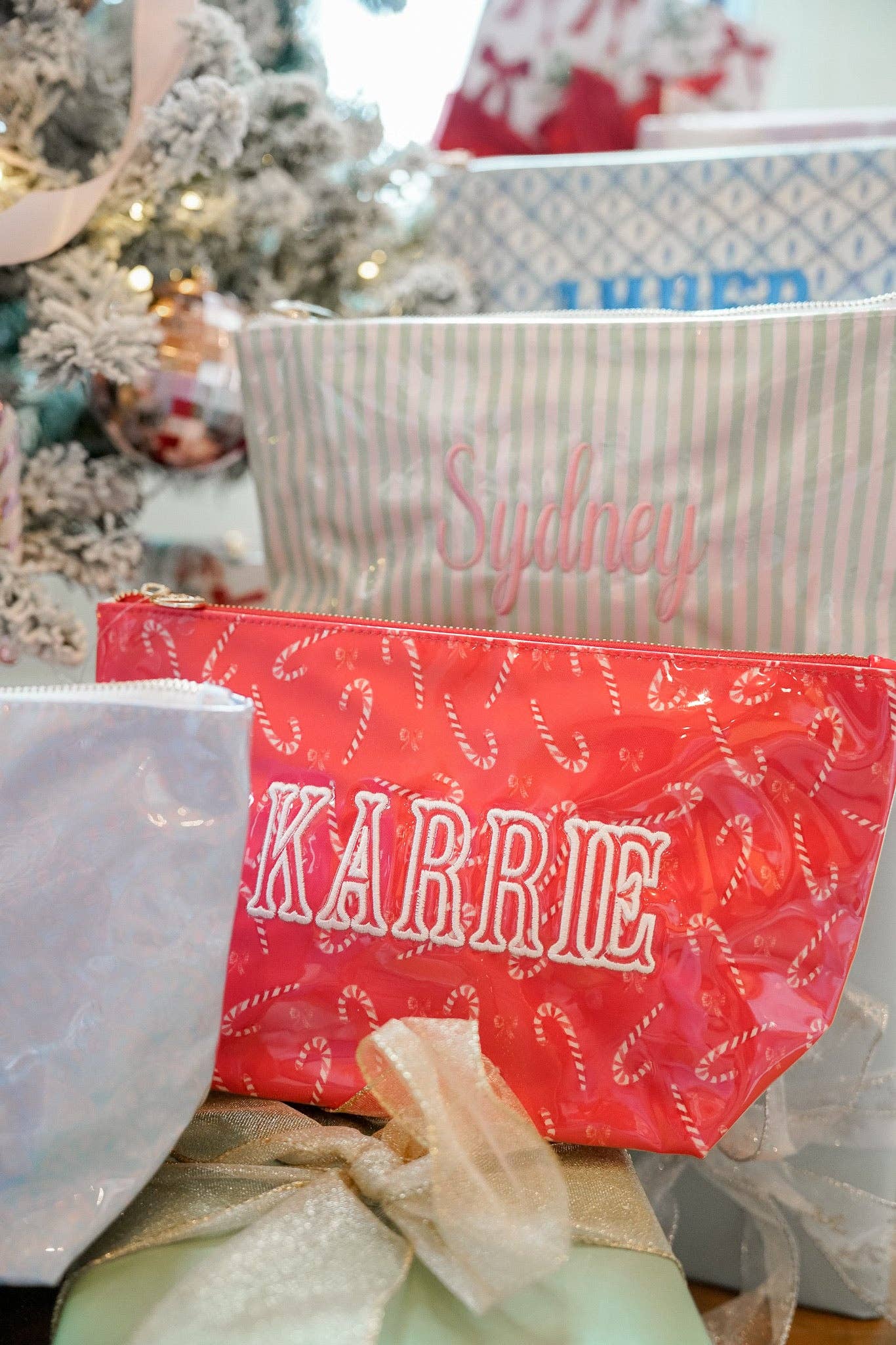 KENZKUSTOMZ - Wholesale Makeup/Cosmetic Bag - Clear Coat Bag23