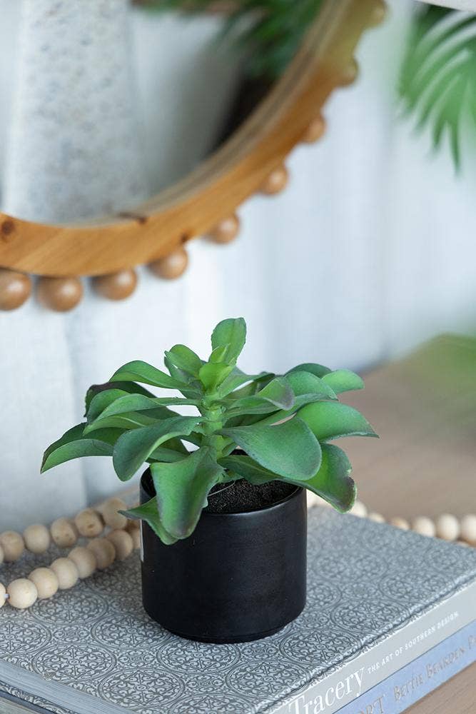 A&B Home Group Inc. – wholesale Artificial plant – Potted Succulent11