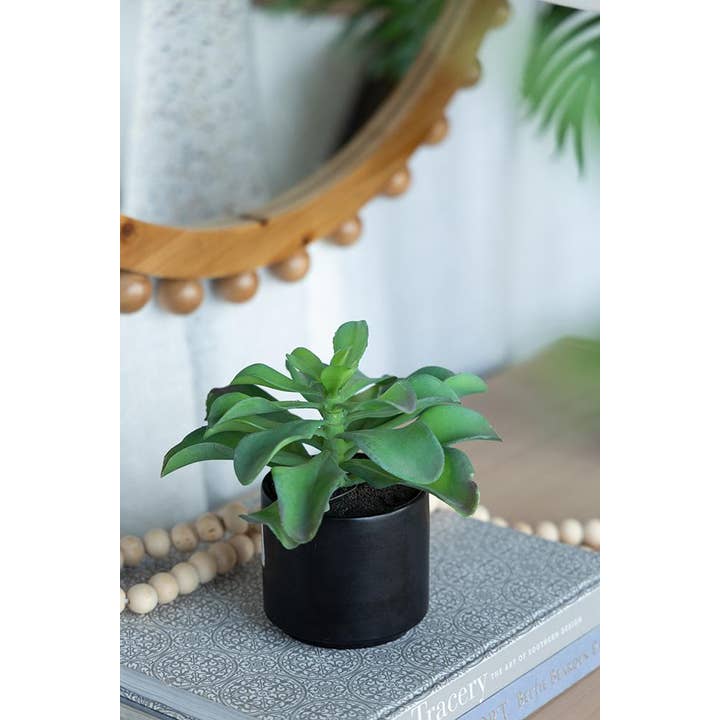 A&B Home Group Inc. – wholesale Artificial plant – Potted Succulent11