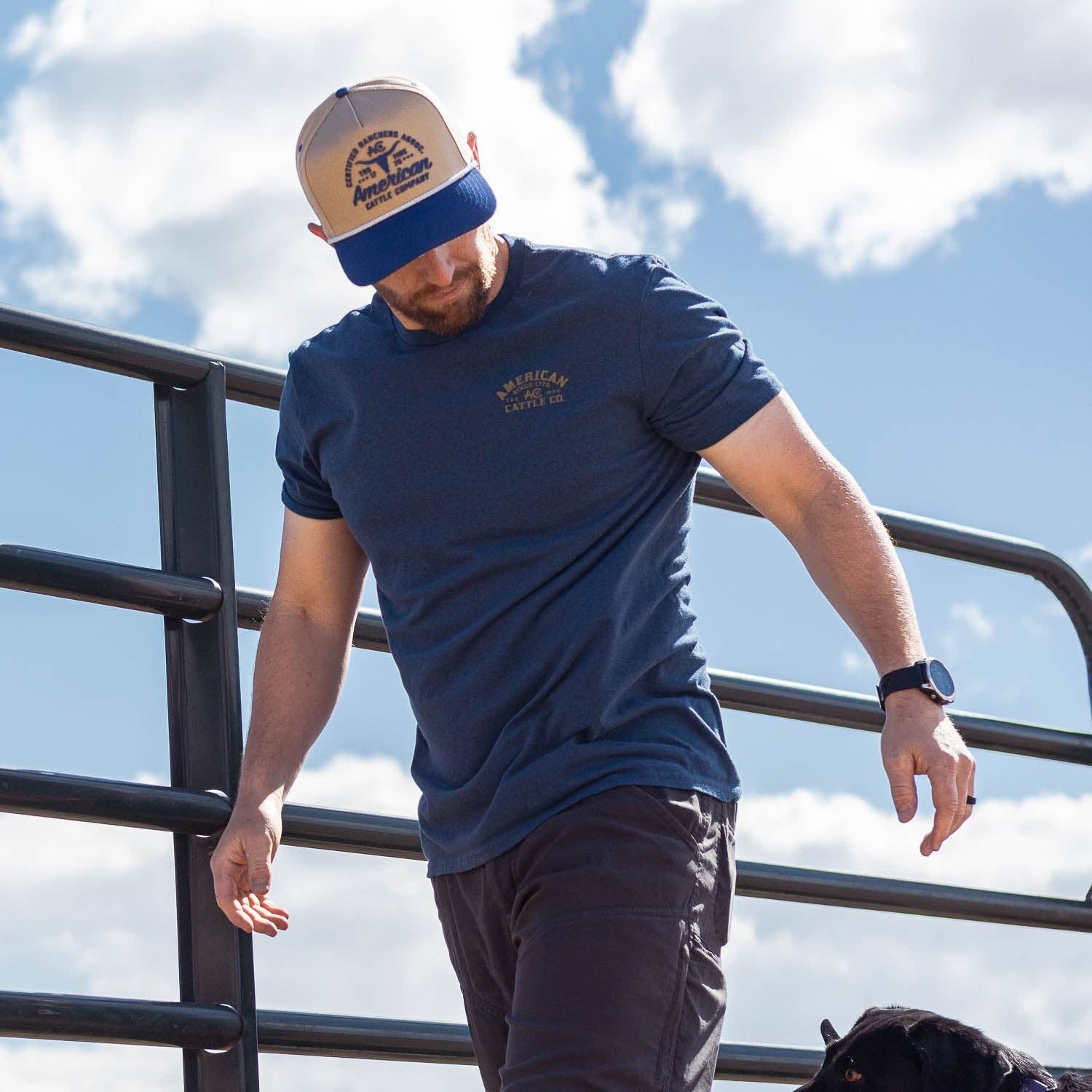 American Cattle Co - Wholesale Baseball cap – Unisex - Certified Ranchers Association Hat10