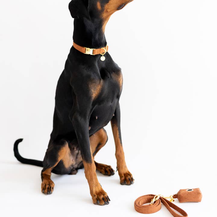 Moniandme - Wholesale Pet Leash - Dog - DOG LEASH CHOCOLATE4