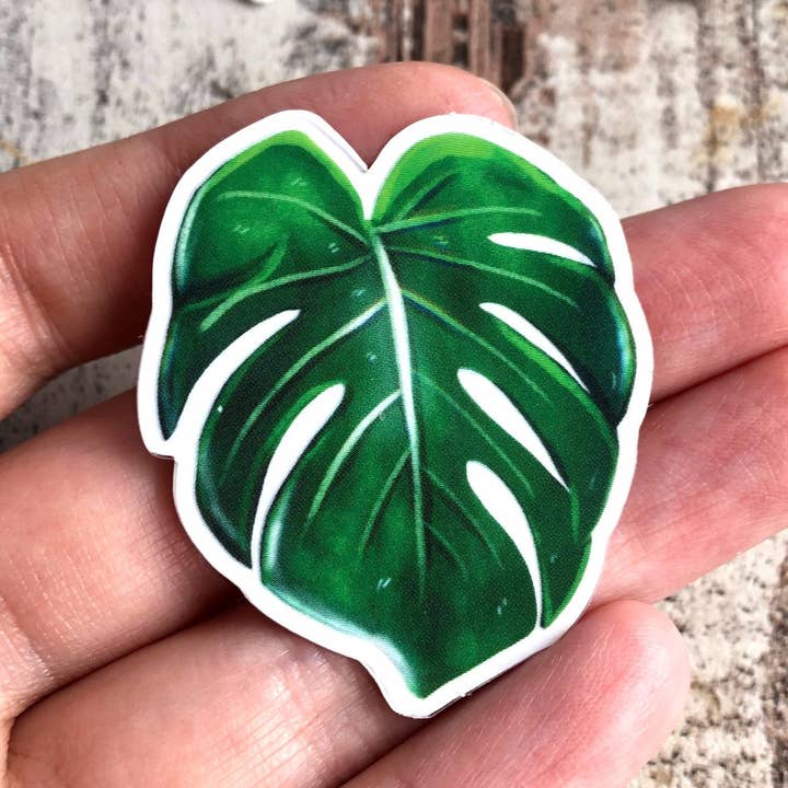 Sticker - Monstera deliciosa 1 sheet transparent for wholesale by plantyintroverts