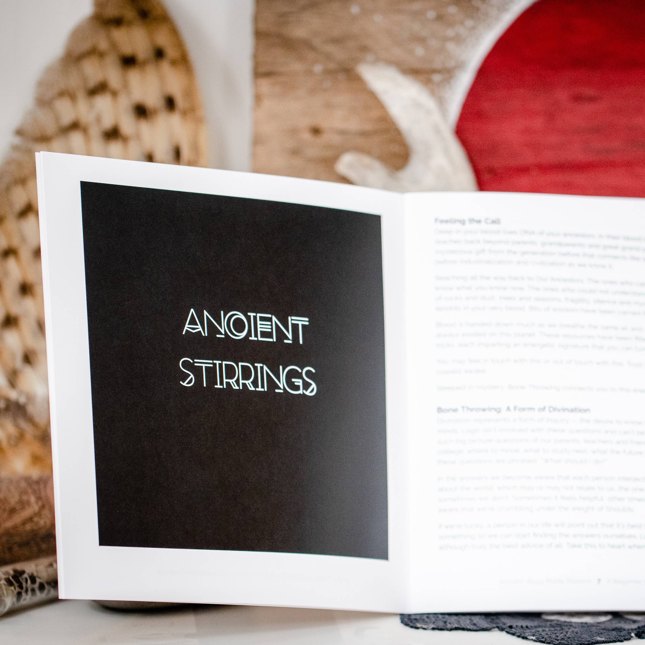 Taming the Tangle - Wholesale Body, Mind & Spirit - A Beginner's Guide to Bone Throwing, divination guide book6