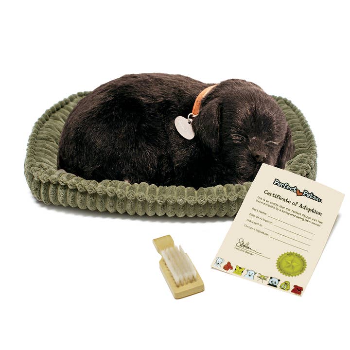 88Unlimited/Perfect Petzzz - Wholesale Stuffed/Plush Toy - Kids & Baby - 10Original - Black Lab