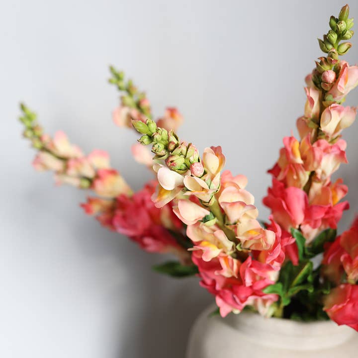 Prestige Botanicals - Wholesale Artificial Flowers - Real Touch Coral Snapdragon 23”