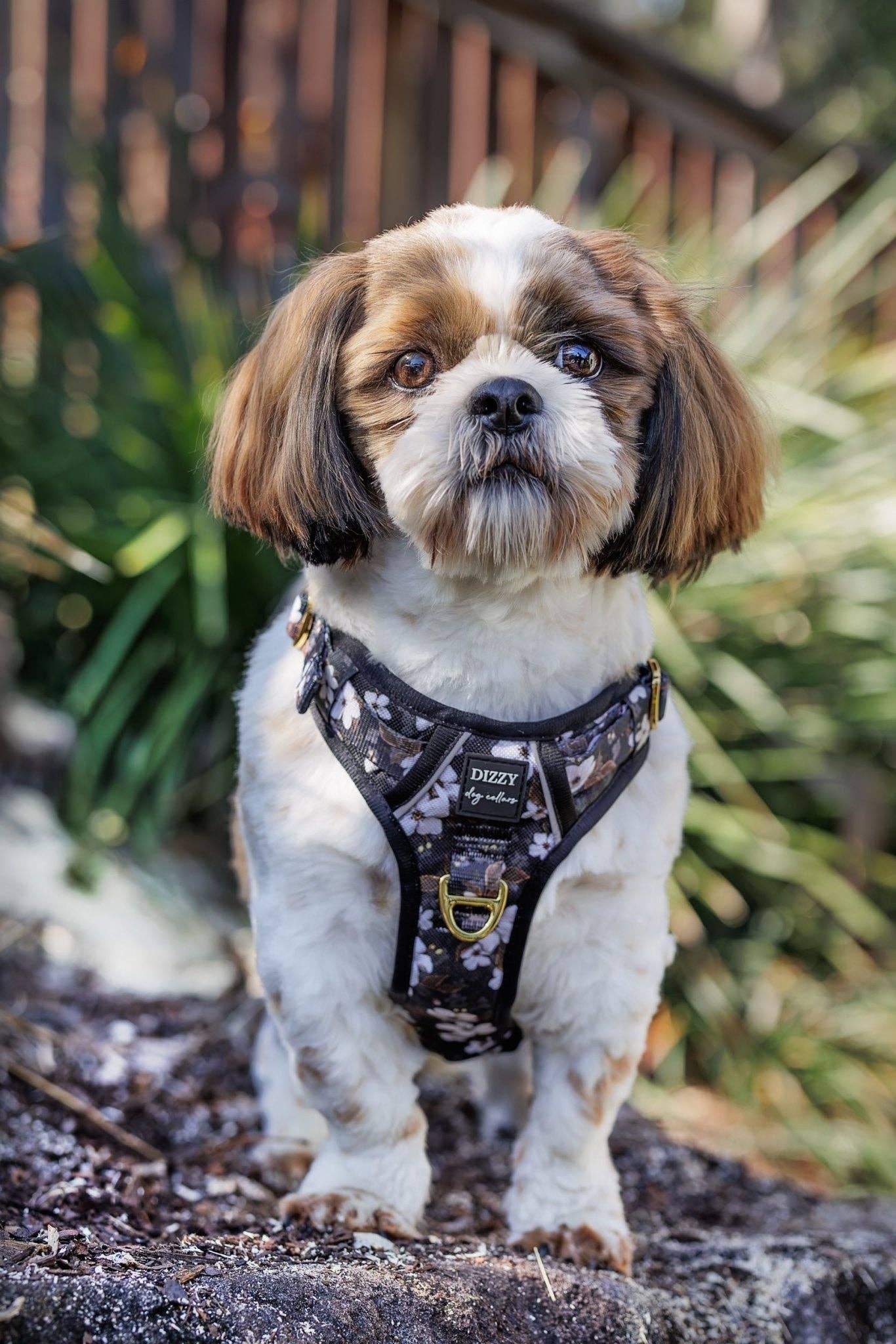 Dizzy Dog Collars - Wholesale Pet Harness - Dog - No Pull Dog Harness | Step in | Reflective | Heavy Duty | Easy Reach Handle | Midnight Cherry Blossoms5