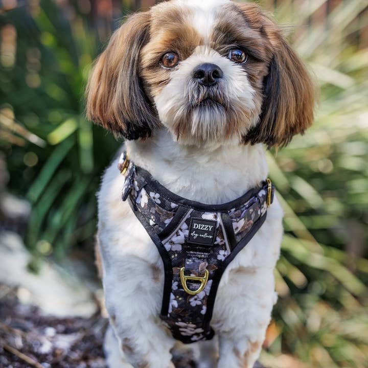 Dizzy Dog Collars - Wholesale Pet Harness - Dog - No Pull Dog Harness | Step in | Reflective | Heavy Duty | Easy Reach Handle | Midnight Cherry Blossoms5