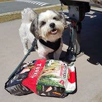 Pet Food Australia - Vendita all'ingrosso Cibo - Cani - Cibo per cani senza cereali, per canguri e pesci oceanici, prodotto in Australia
