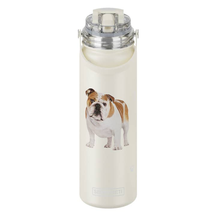 Bulldog - Bottiglia d'acqua in acciaio inossidabile - 24oz - a tenuta stagna per la vendita all'ingrosso da parte di E&S Pets
