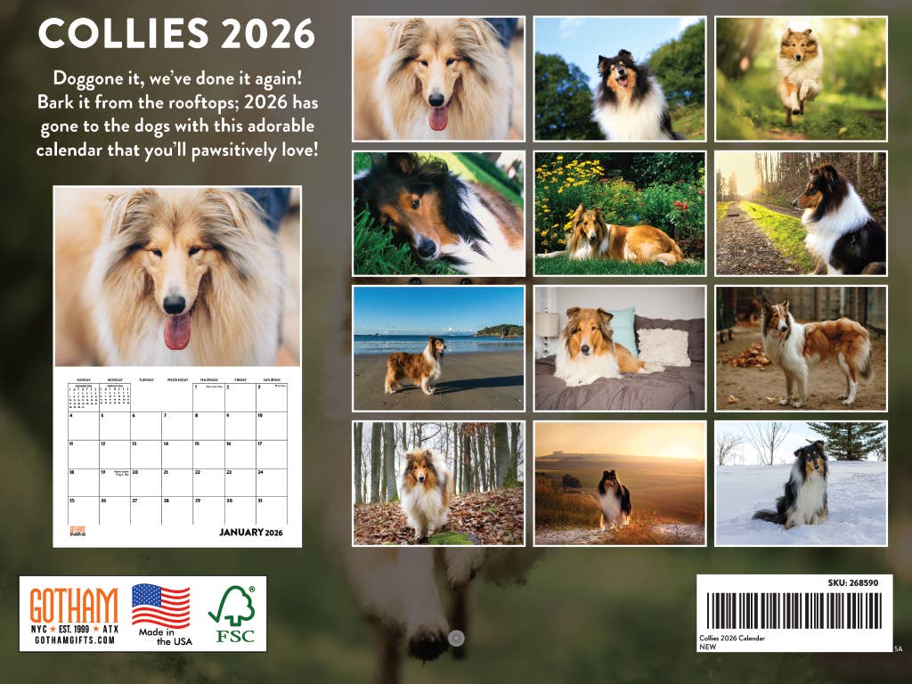Multi Color Collie Calendar 2026 Monthly Wall Calender | American Made In The USA for wholesale on Faire1