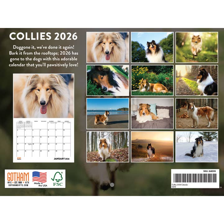 Multi Color Collie Calendar 2026 Monthly Wall Calender | American Made In The USA for wholesale on Faire1