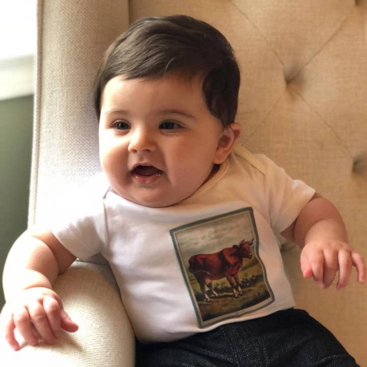 Cow for wholesale by Mandala Baby