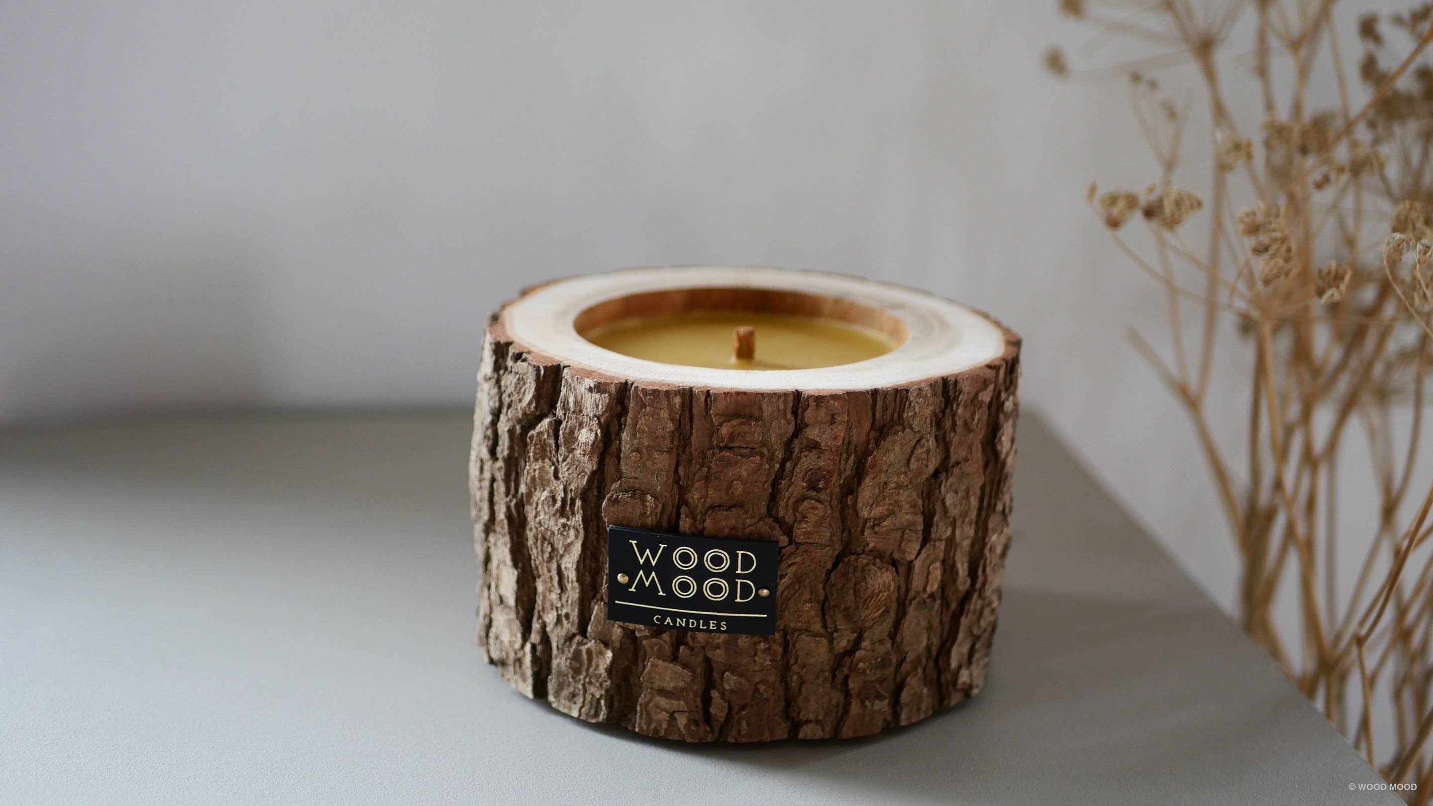 WOOD MOOD - Wholesale Jar/Filled Candle - Rocky Patio | interior candle with pine tree essential oil1