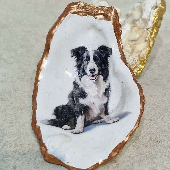 Nuevo platillo para joyas de concha de ostra con diseño de perro Border Collie para venta al por mayor de Bee my Oyster