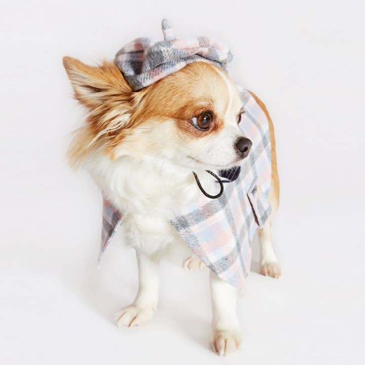 Croci - Wholesale Pet Hat - Dog - Dog hat - Parisian - Crosses1