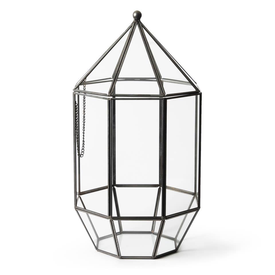 SuperMoss - Wholesale Terrarium - Glass Terrarium0