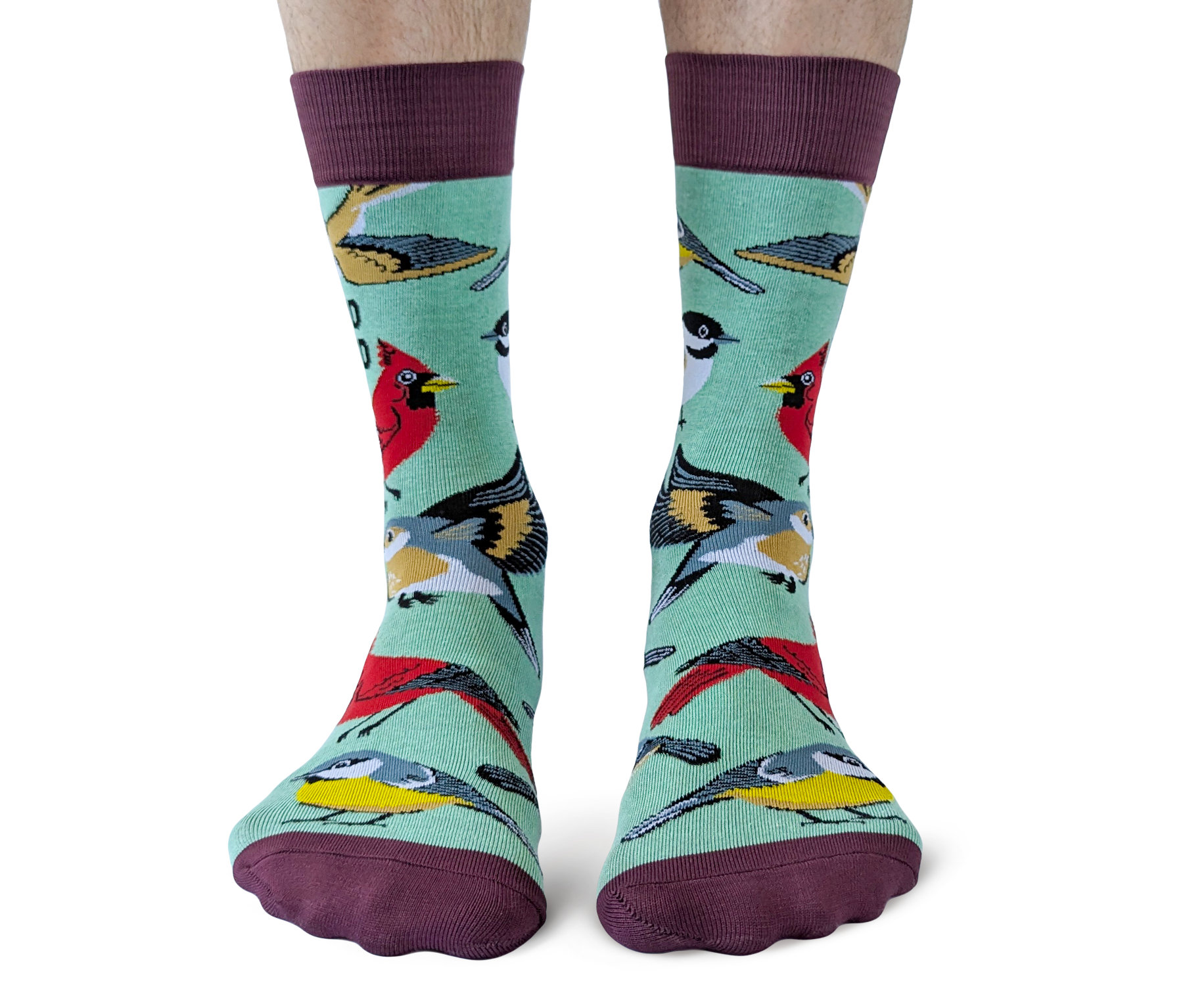 Uptown Sox - Wholesale Socks - Men's - Bird Nerd Socks - M/L (Men)1