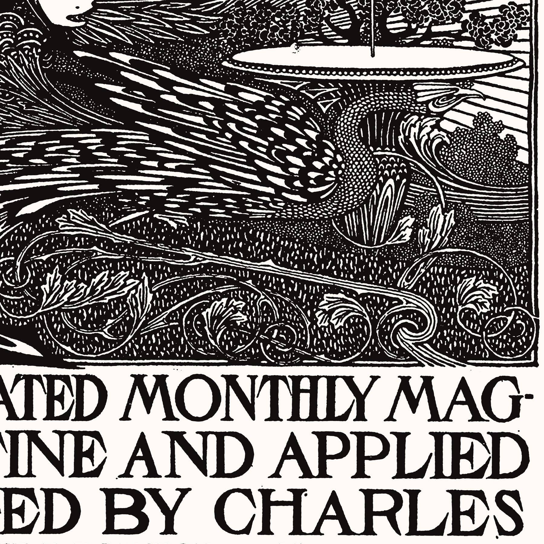 Aster Edition - Wholesale Poster - Poster: The International Studio2