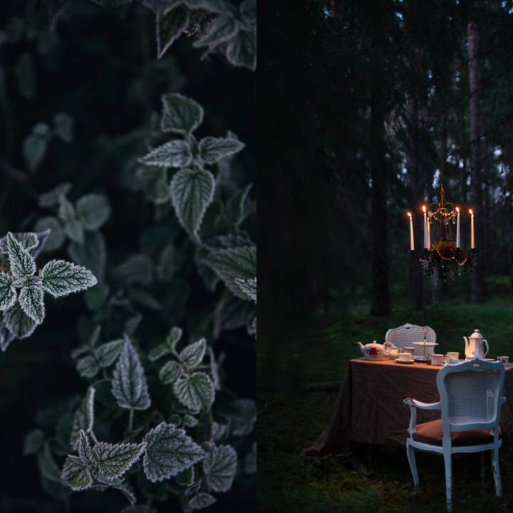 Cozy Publishing - Wholesale Cookbooks and food - The Art of Fun Dining - Cookbook3