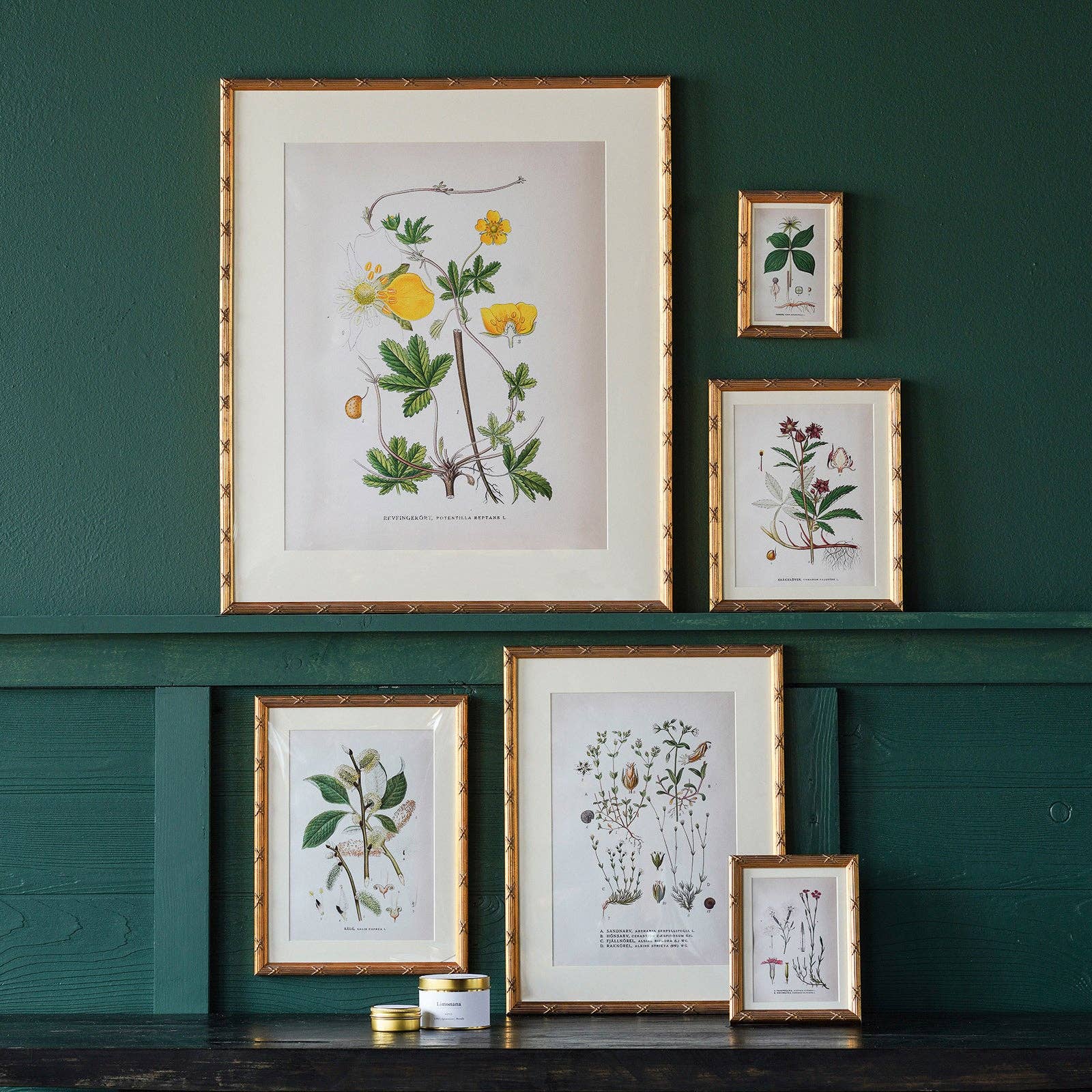 Blue Ocean Traders - Wholesale Picture Frame - Arundel Matted Frame6