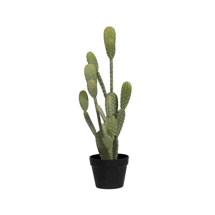 Cactus Opuntia M - Verde - A41 cm para venta al por mayor de Pottery Pots