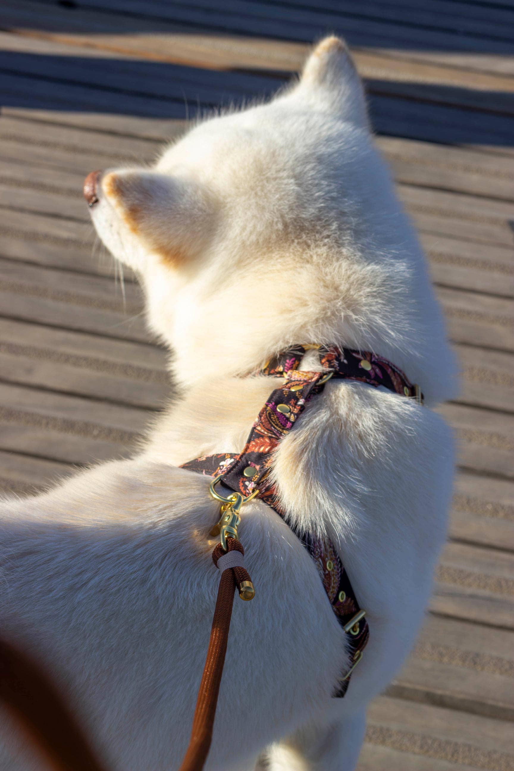 Atelier Markiz - Wholesale Pet Harness - Dog - Kashmir Harness3