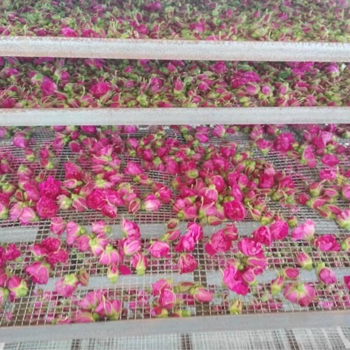 Ronnefeldt - Wholesale Loose Tea - Rose Petals / Buds Red