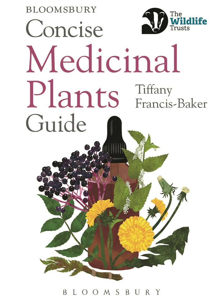 Concise Medicinal Plants Guide for wholesale by Macmillan Publishers