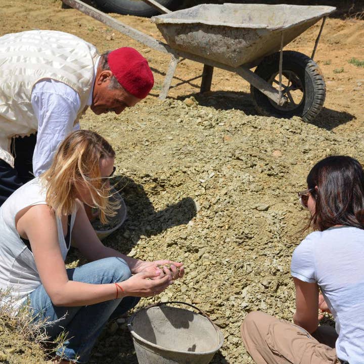 Katari Beauty - Wholesale Skincare Face Mask - FACIAL MASQUE | Acne, Blackheads Detox pH-Neutral Green Clay5