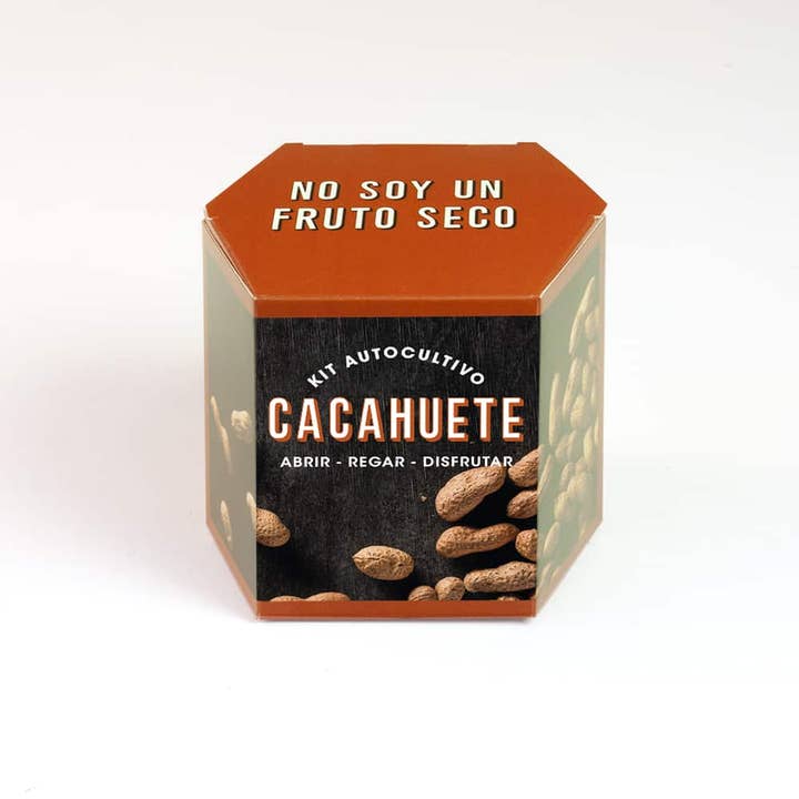 Resetea - Wholesale Plant Seeds - Peanut Self-Growing Kit🥜1