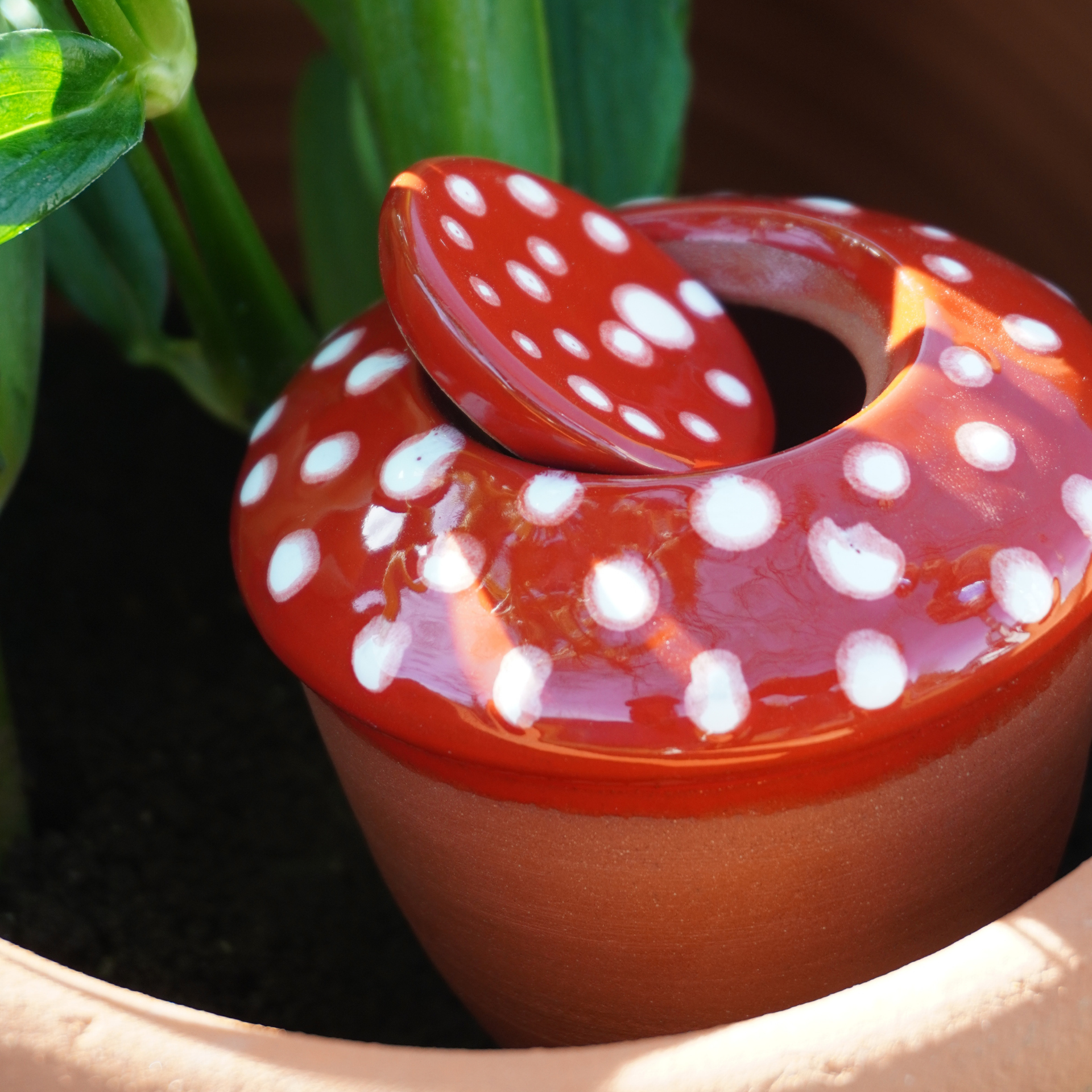 Poterie lutton - Wholesale Watering Can - Ollas Bolet4