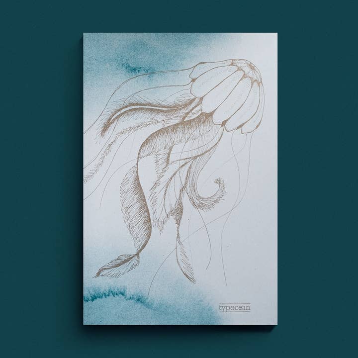 Journal Medusa II pour la vente par typocean